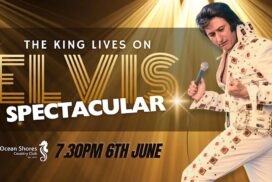 Elvis tribute show