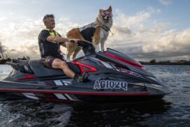 Top Dog Film Festival