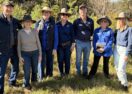 Northern Rivers riverbank restoration
