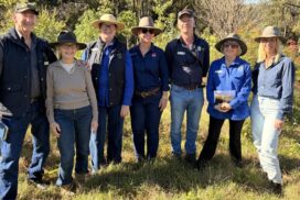 Northern Rivers riverbank restoration