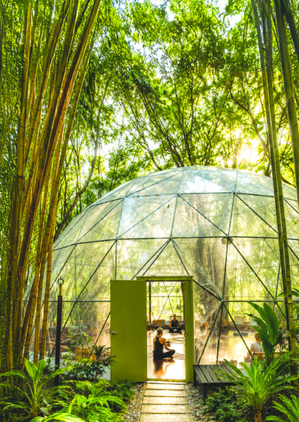 Guests can do yoga in one of two domes.