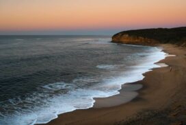 Torquay Property Market