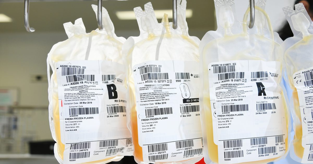 Plasma donation eligibility