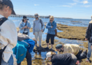 Geelong nature program