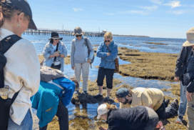 Geelong nature program
