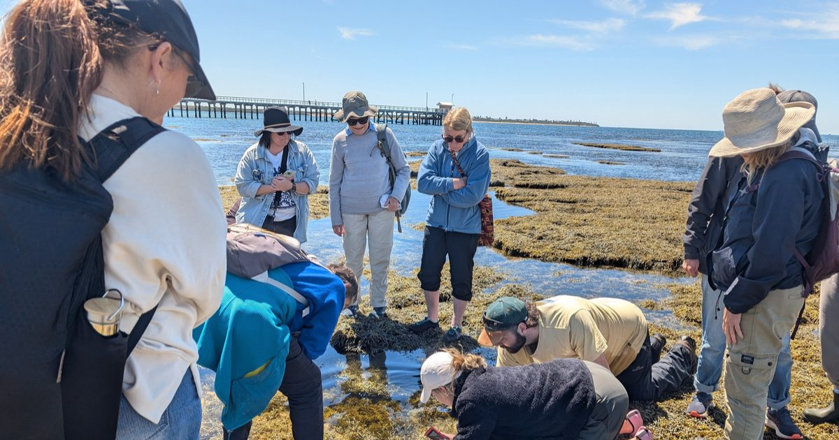 Geelong nature program