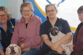 Cherished Pets finalist