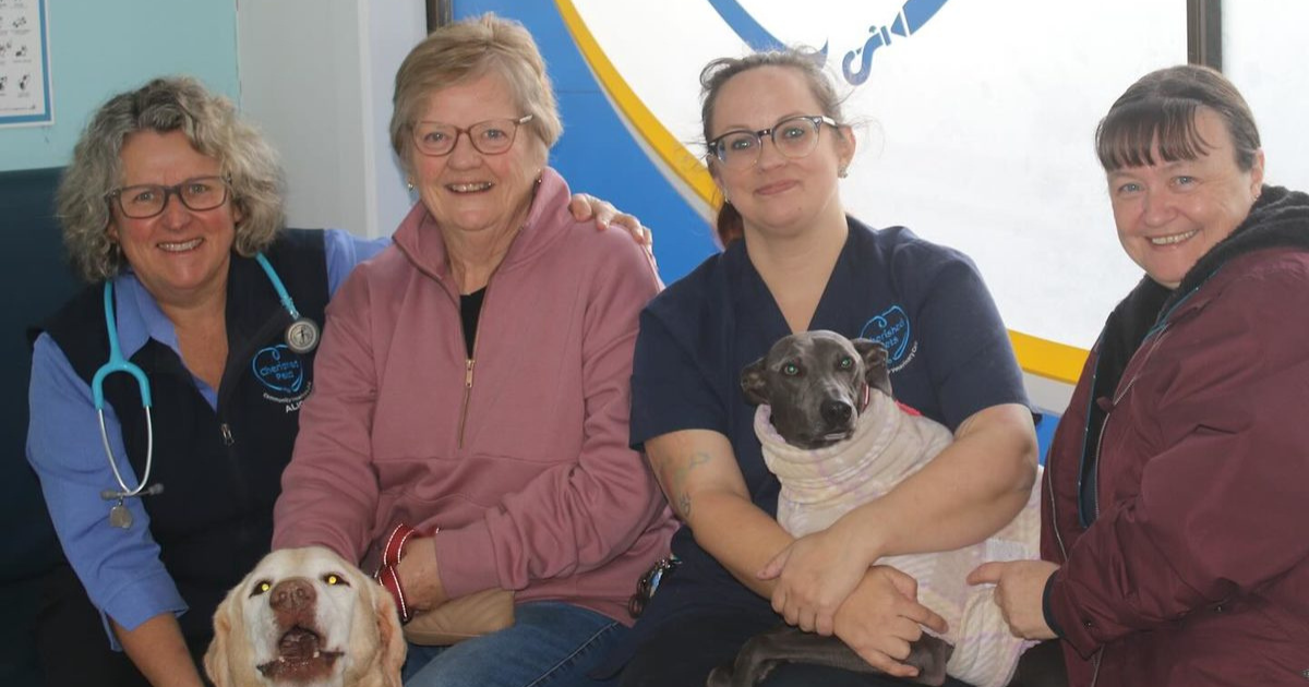 Cherished Pets finalist