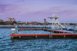 Geelong town snapshot