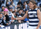 Geelong Cats membership