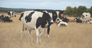 Drought Employment Program