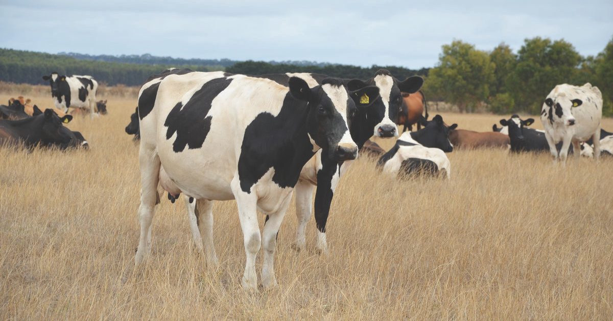 Drought Employment Program