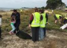 Community planting day