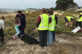 Community planting day