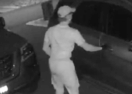 car theft prevention