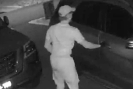 car theft prevention