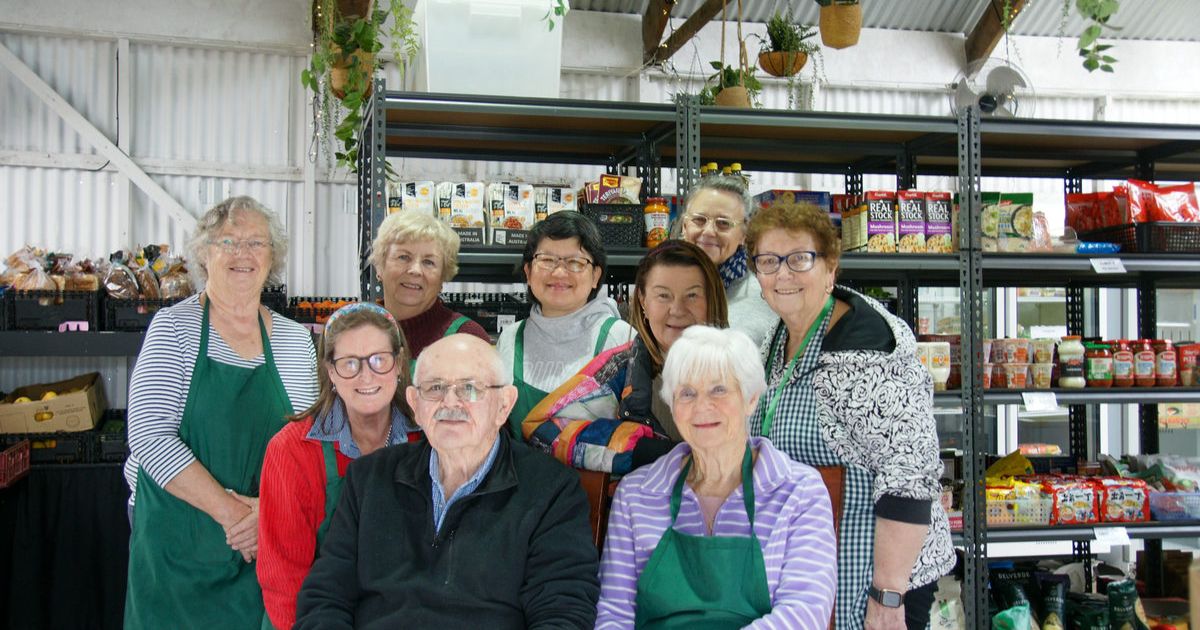 Food Assist 3223