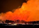 Bushfire survival plan