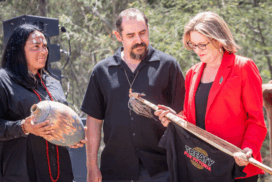 Victoria Treaty bill