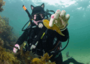 Bellarine coast event