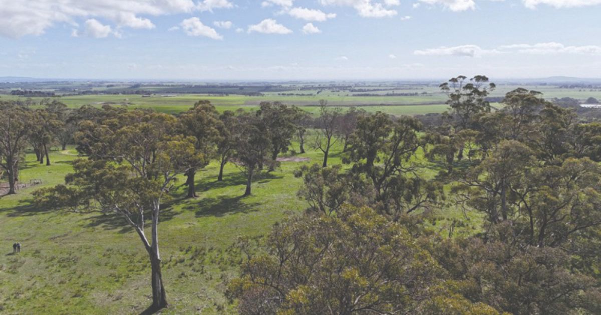 Colac-Otway Land for Sale