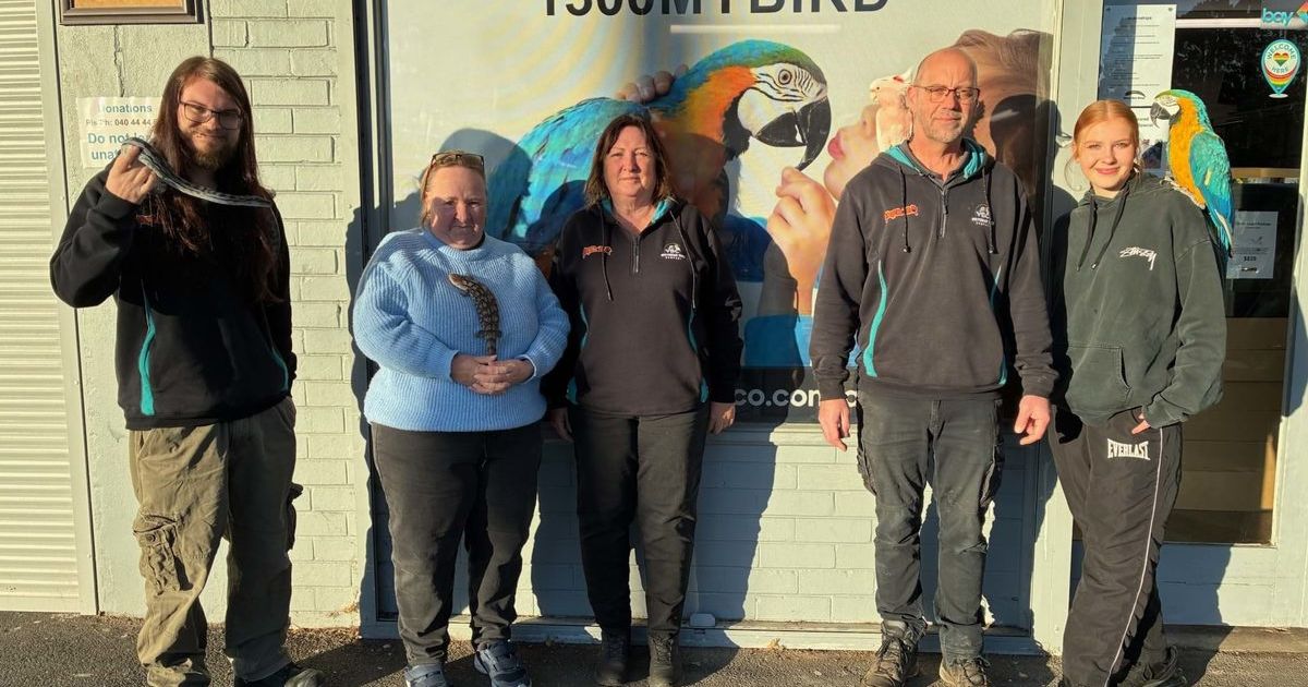 Geelong Birds Reptiles