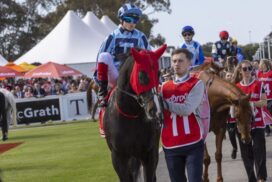 Spring Carnival safety