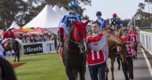 Spring Carnival safety