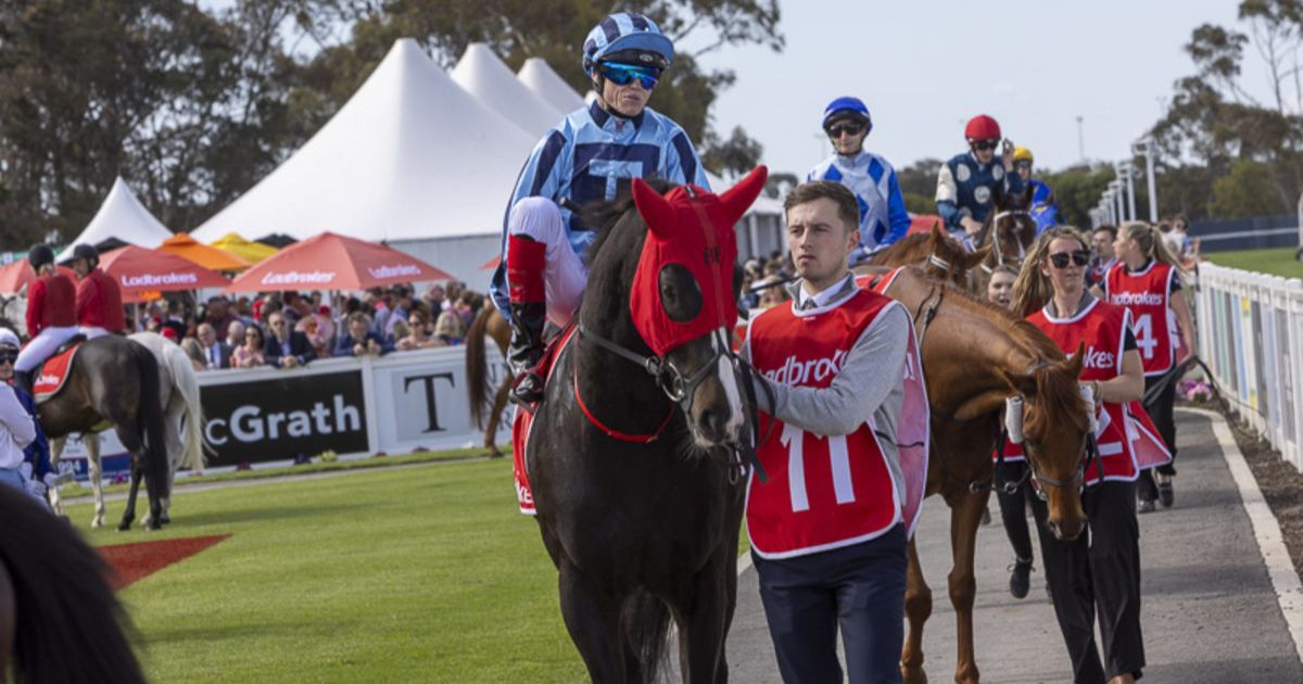 Spring Carnival safety