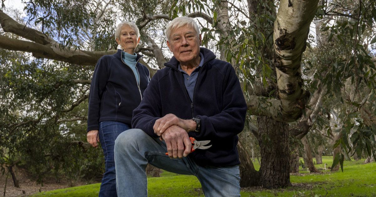 Drysdale Open Gardens 2025