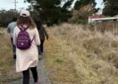 Peace Camino Walk
