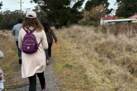 Peace Camino Walk
