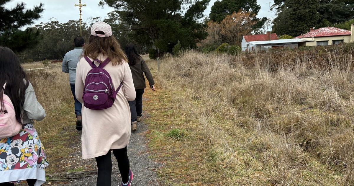 Peace Camino Walk