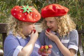 Wallington Strawberry Fair