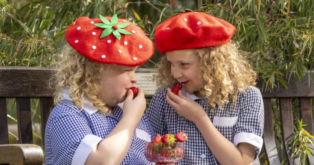 Wallington Strawberry Fair