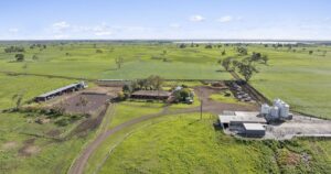 Ondit dairy farm