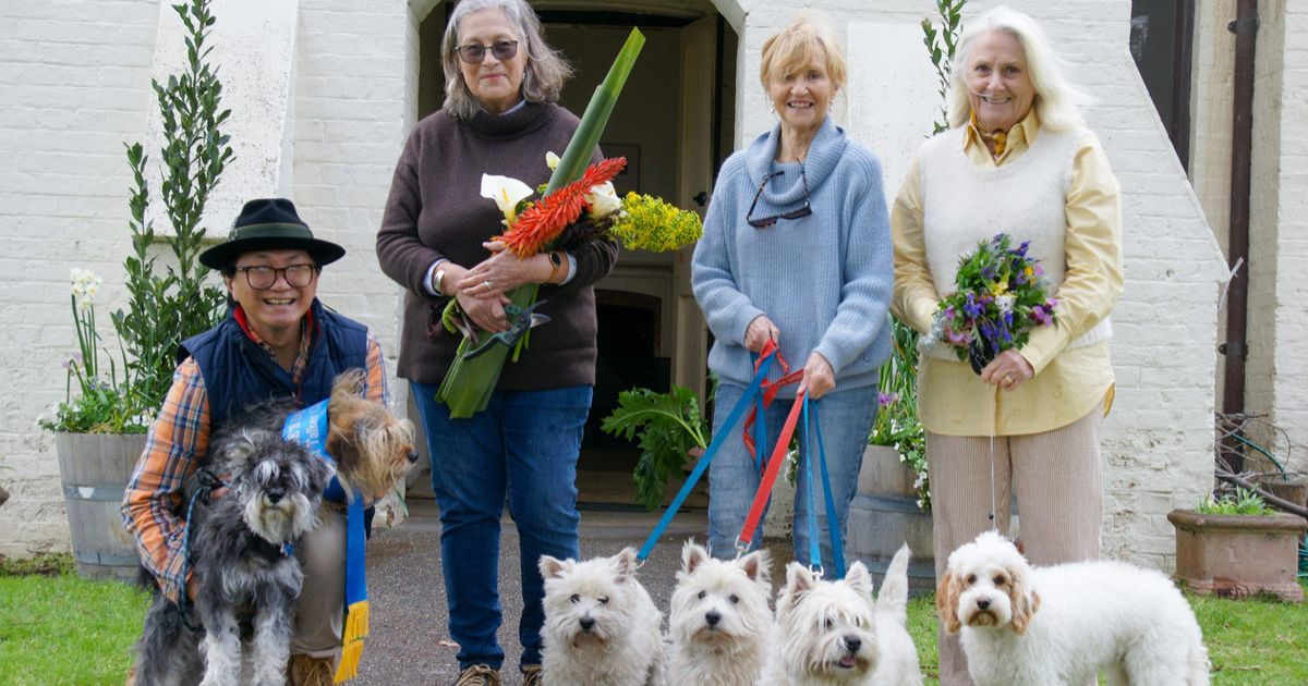 Queenscliff Flower Show