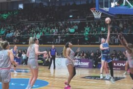 Geelong Venom WNBL