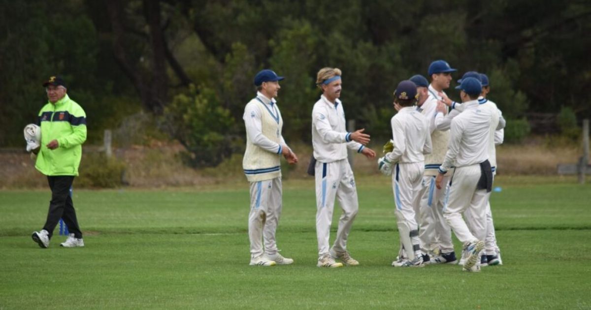 BPCA cricket grand final rematch