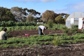 Farm My School Bellarine