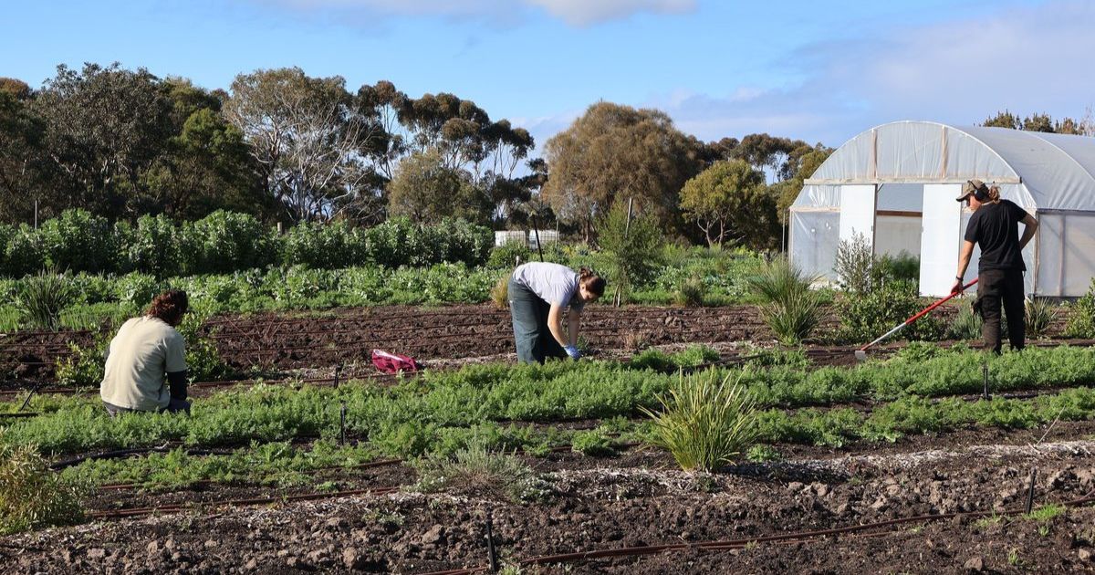 Farm My School Bellarine