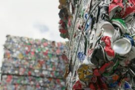 Victoria Container Deposit