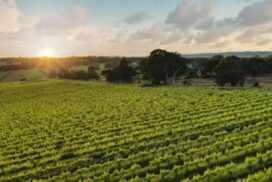 Geelong Bellarine events