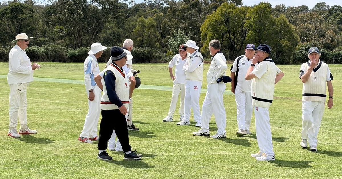 Veterans Cricket Victoria new players