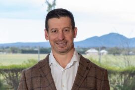Geelong property market
