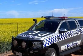 Holiday road safety tips