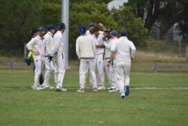 BPCA1 Cricket