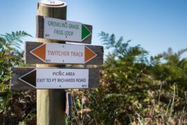 Point Richards Flora and Fauna Reserve management plan