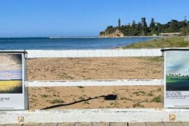 Queenscliff Arts Prize