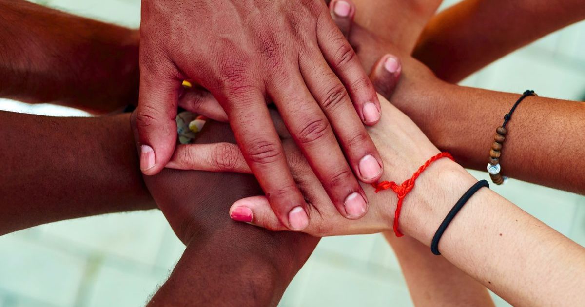 Multicultural Capacity Building Program
